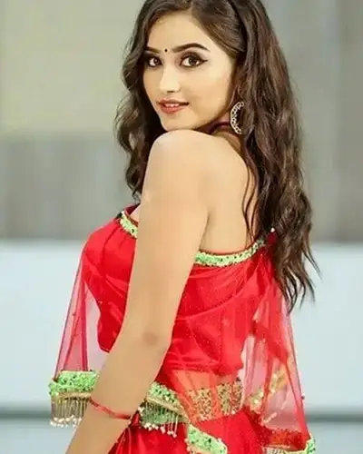 Call Girls Service Palalahada